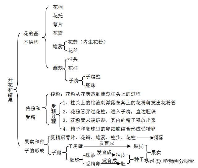 人教版生物七年级上册全册知识点,期中期末复习必背,图文结合